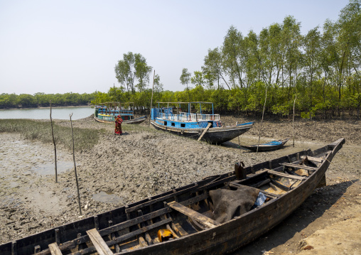 Boats at low tide in the mangrove in the Sundarbans, Khulna Division, Shyamnagar, Bangladesh