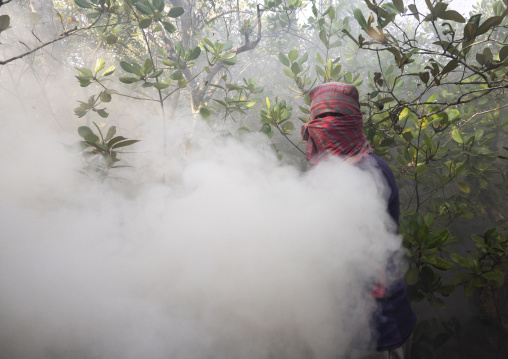 Beekeeper collecting honey from the beehive in the mangrove, Khulna Division, Shyamnagar, Bangladesh