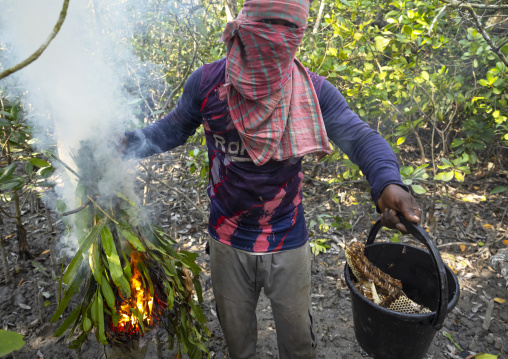 Beekeeper collecting honey from the beehive in the mangrove, Khulna Division, Shyamnagar, Bangladesh