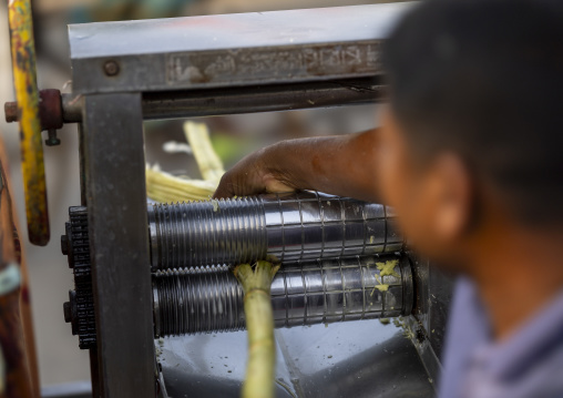 Bangladeshi man juicing sugar cane, Khulna Division, Jessore, Bangladesh