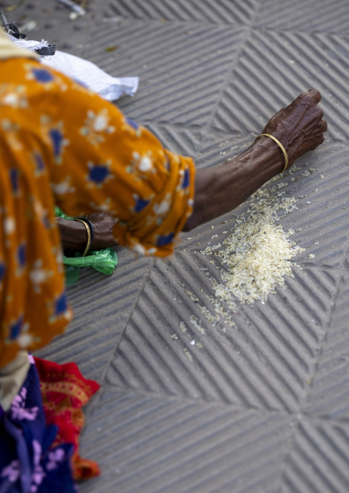 Bangladeshi poor woman collecting rice fallen on the road, Khulna Division, Jessore, Bangladesh