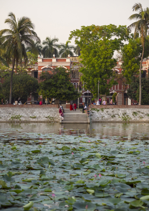 Pond with nymphaea lotus water lily, Khulna Division, Jessore, Bangladesh