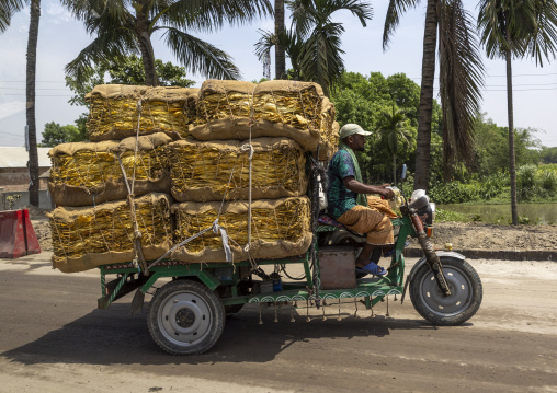 Bangladeshi man driving a cart loaded with dried tobacco leaves, Khulna Division, Mirpur, Bangladesh