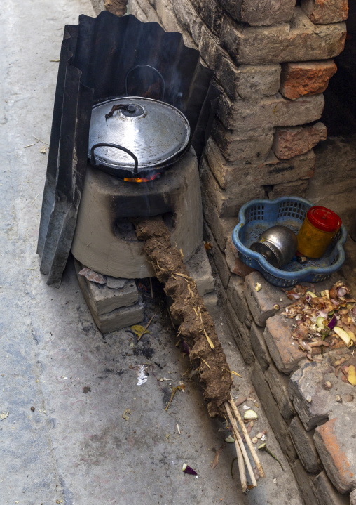 Cow dungs on sticks used for cooking, Rajshahi Division, Rajshahi, Bangladesh