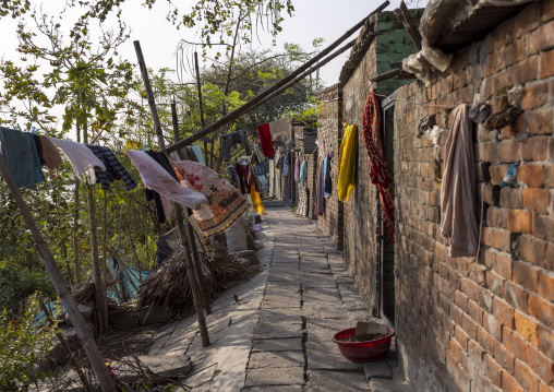 Fishermen houses on the river bank, Rajshahi Division, Rajshahi, Bangladesh