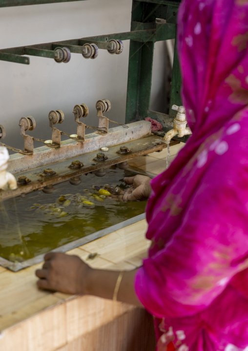 Cocoon silkworms in a Silk factory, Rajshahi Division, Rajshahi, Bangladesh