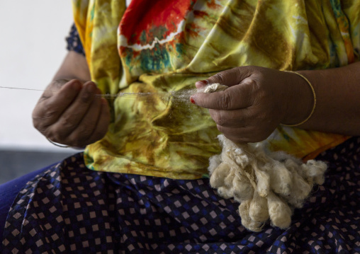 Cocoon silkworms in a silk factory, Rajshahi Division, Rajshahi, Bangladesh