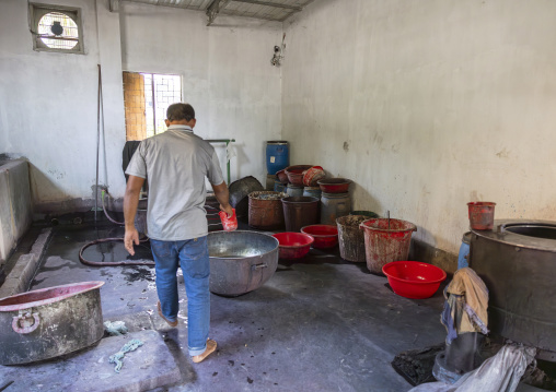 Dyeing in a dilk factory, Rajshahi Division, Rajshahi, Bangladesh