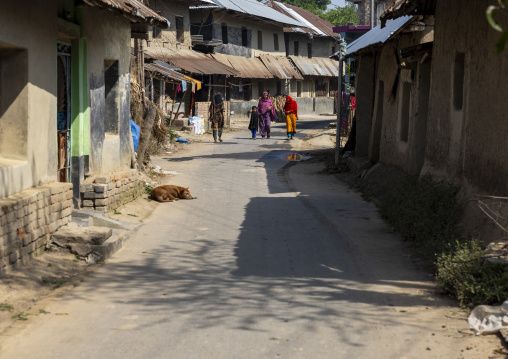 Bangladeshi women and children in a quiet village street, Rajshahi Division, Manda, Bangladesh