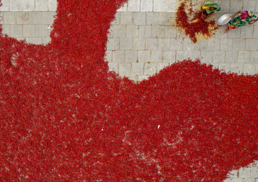 Aerial view of bangladeshi workers who dry red chili pepper, Rajshahi Division, Sariakandi, Bangladesh