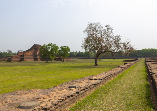 Somapura Mahavihara UNESCO World Heritage Site, Rajshahi Division, Badalgachhi, Bangladesh