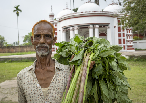 Bangladeshi man in front of Delduar Zamindar Bari Jame Masjid mosque, Dhaka Division, Delduar, Bangladesh