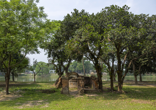 Pakutia Zamindar Bari pond, Dhaka Division, Nagarpur, Bangladesh