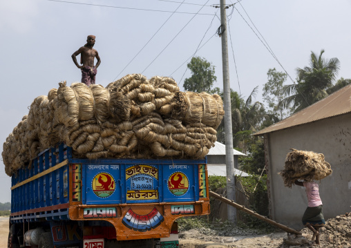 Bangladeshi man loading burlap on a truck, Dhaka Division, Nagarpur, Bangladesh