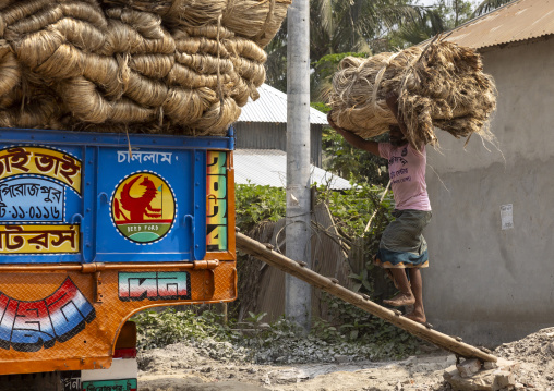 Bangladeshi man loading burlap on a truck, Dhaka Division, Nagarpur, Bangladesh