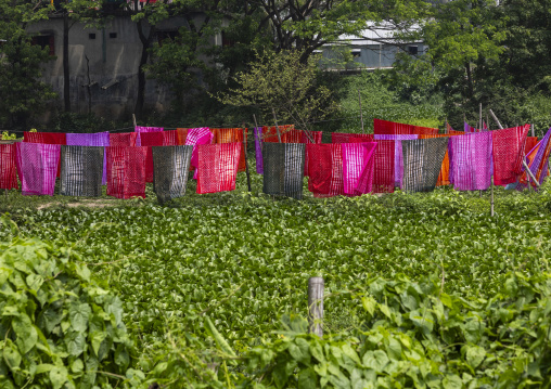 Fabrics drying under the sun above water hyacinths, Dhaka Division, Rupganj, Bangladesh