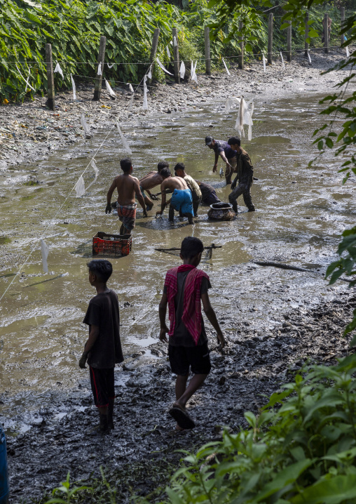 Bangladeshi boys searching for fishes in a muddy river, Dhaka Division, Sonargaon, Bangladesh