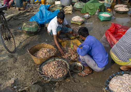 Bangladeshi man selling shrimps in fish market, Chittagong Division, Chittagong, Bangladesh