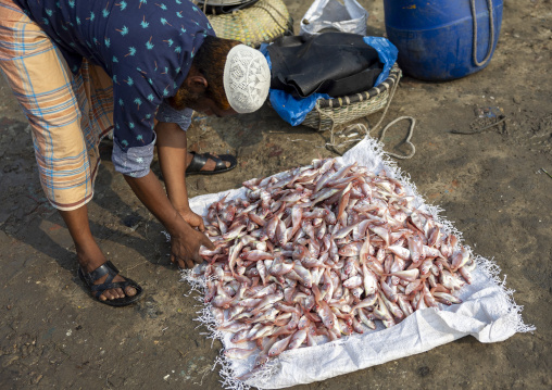 Bangladeshi man selling fishes in fish market, Chittagong Division, Chittagong, Bangladesh