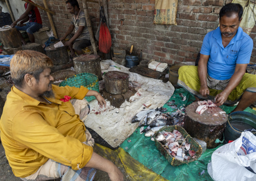 Bangladeshi man removing fish scales at fish market, Chittagong Division, Chittagong, Bangladesh