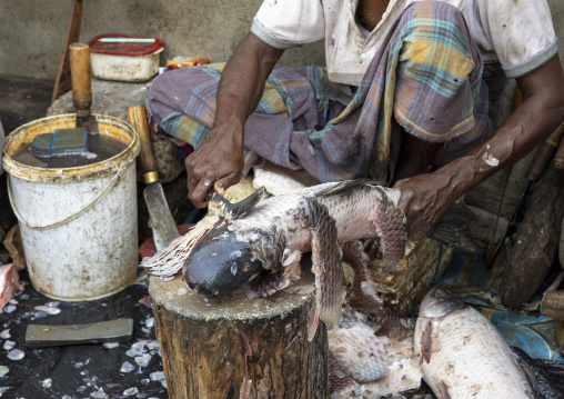 Bangladeshi man removing fish scales at fish market, Chittagong Division, Chittagong, Bangladesh