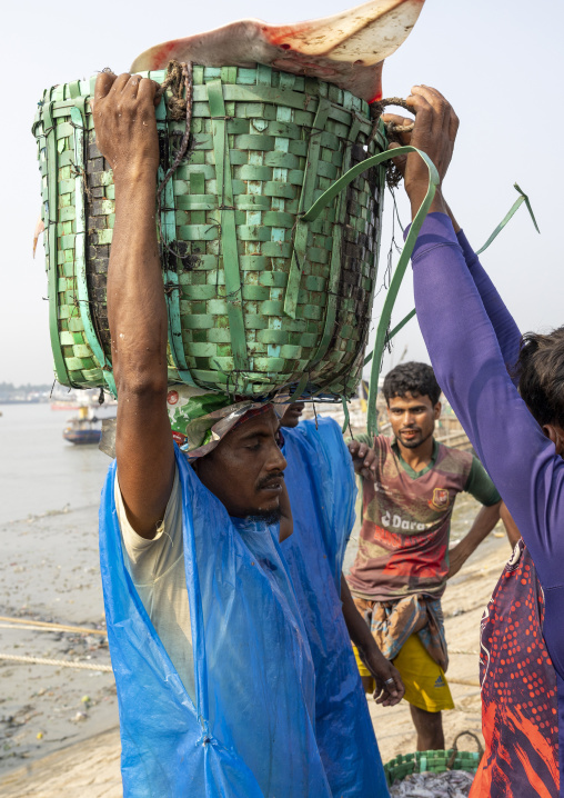 A bangladeshi porter carries a load at the morning fish market, Chittagong Division, Chittagong, Bangladesh