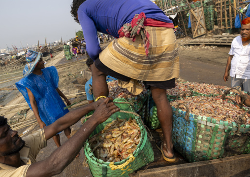 Fresh shrimps unloaded from fishing boats at the morning fish market, Chittagong Division, Chittagong, Bangladesh