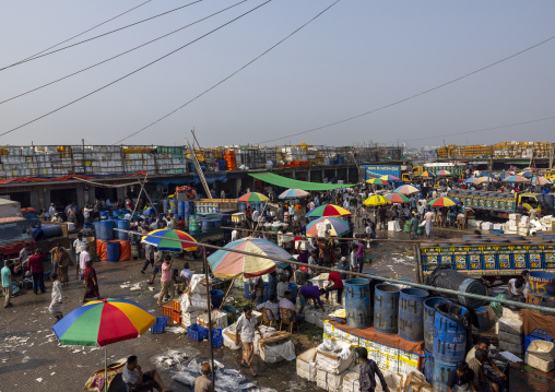 High angle view of the morning fish market, Chittagong Division, Chittagong, Bangladesh