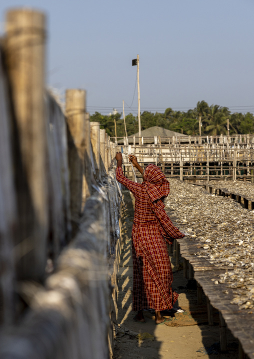 A female bangladeshi worker laids out fish to dry in sun, Chittagong Division, Cox's Bazar Sadar, Bangladesh