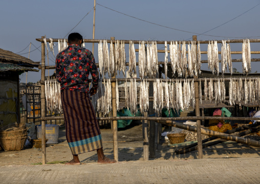 A male bangladeshi worker laids out fish to dry in sun, Chittagong Division, Cox's Bazar Sadar, Bangladesh