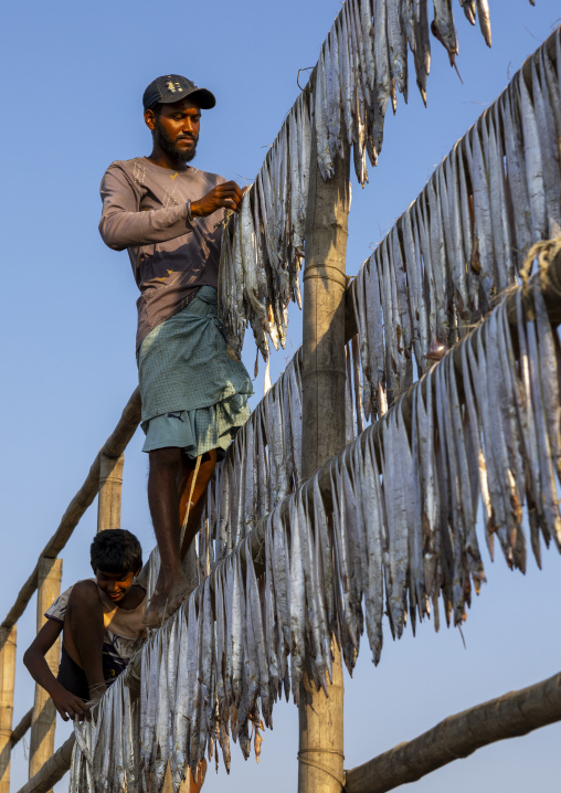 Workers laid out fish to dry in sun, Chittagong Division, Cox's Bazar Sadar, Bangladesh