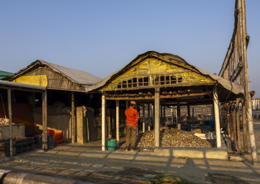 Dry fishes workshop, Chittagong Division, Cox's Bazar Sadar, Bangladesh