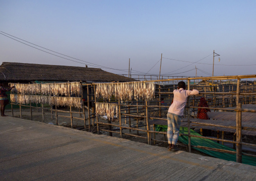 Workers laid out fish to dry in sun, Chittagong Division, Cox's Bazar Sadar, Bangladesh