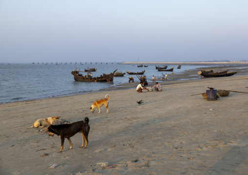 Dogs on the beach waiting for fishing boats, Chittagong Division, Cox's Bazar Sadar, Bangladesh