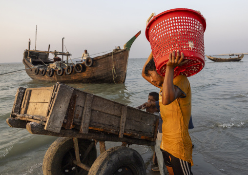 Bangladeshi fishermen unloading fishes on the beach, Chittagong Division, Cox's Bazar Sadar, Bangladesh