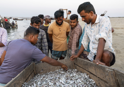 Bangladeshi men selling fresh fishes on the beach, Chittagong Division, Cox's Bazar Sadar, Bangladesh