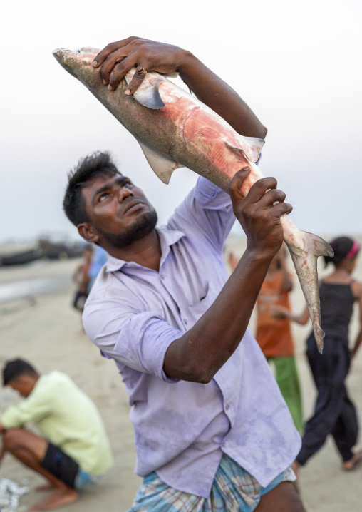 Bangladeshi man playing with a dead shark on the beach, Chittagong Division, Cox's Bazar Sadar, Bangladesh