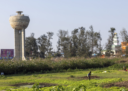 Bangladeshi man with a crop sprayer in a field in the middle of the city, Chittagong Division, Cox's Bazar Sadar, Bangladesh