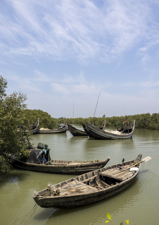 Anchored fishing boats in the mangrove, Chittagong Division, Maheshkhali, Bangladesh