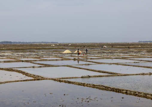 Bangladeshi men working in a salt field, Chittagong Division, Maheshkhali, Bangladesh