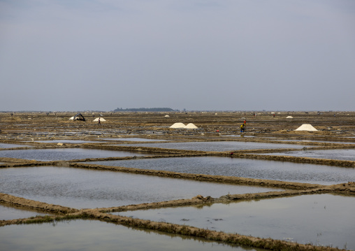 Bangladeshi men working in a salt field, Chittagong Division, Maheshkhali, Bangladesh