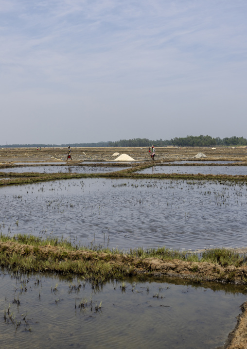 Bangladeshi men working in a salt field, Chittagong Division, Maheshkhali, Bangladesh