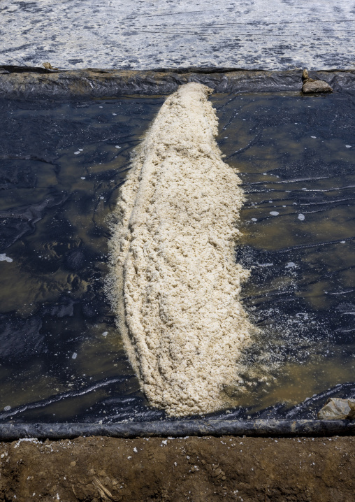 Salt field, Chittagong Division, Maheshkhali, Bangladesh