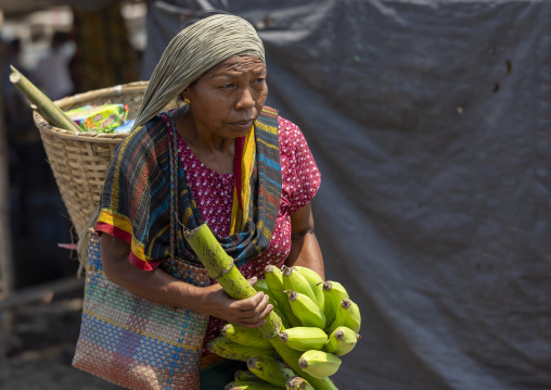 Chakma tribe woman carrying bananas, Chittagong Division, Rangamati Sadar, Bangladesh