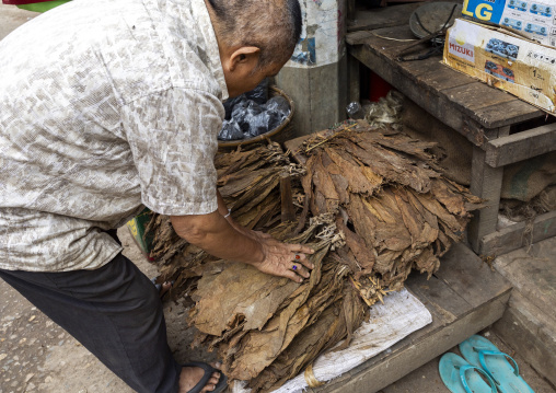 Bangladeshi man selling dried tobacco leaves at Chakma tribe market, Chittagong Division, Rangamati Sadar, Bangladesh