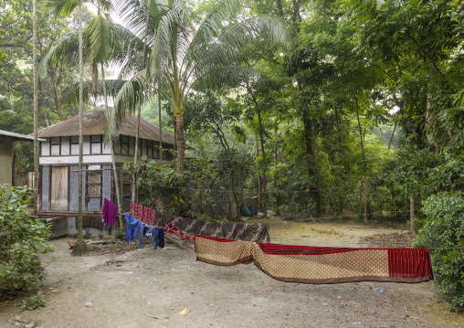 Old heritage house in the forest, Dhaka Division, Tongibari, Bangladesh