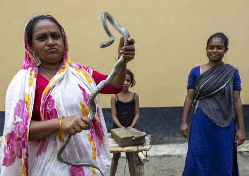Gypsy women with snake they rent for ceremonies, Chittagong Division, Bijoynagar, Bangladesh
