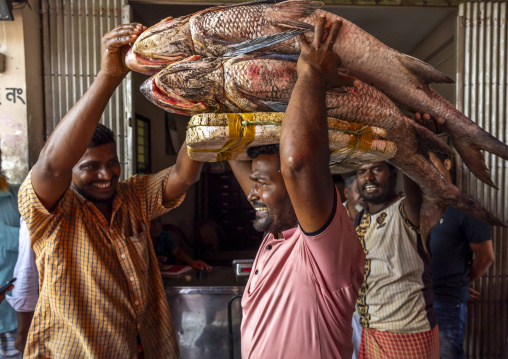Bangladeshi man carrying big fishes on his head, Chittagong Division, Chittagong, Bangladesh
