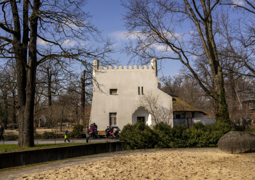 Grévy’s zebra in Berlin zoo, Berlin state, Berlin, Germany