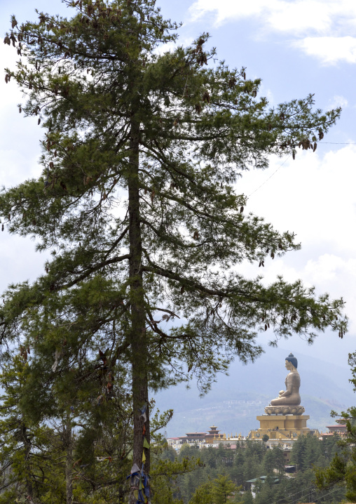 The statue of Buddha Dordenma, Chang Gewog, Thimphu, Bhutan